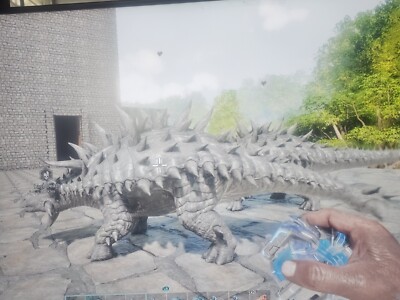 ark ascended pve Ankilosaurus Solid 79 Breeding Pair
