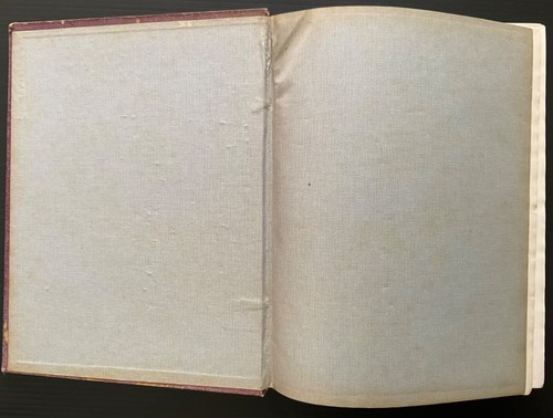 THE CYCLOPEDIA OF NEW SOUTH WALES (illustrated) Historical & Commercial Review - 第 6/22 張圖片