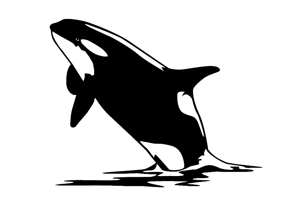 Comedor Vida Marina Calcomanías decorativas y vinilo arte