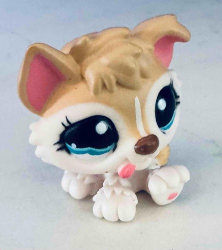 LPS # 1793 LITTLEST PETSHOP ORIGINAL AUTHENTIC CHIEN HUSKY