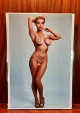 Seven Of Nine Star Trek Voyager 13X19 85lb Cardstock Matte Art Print By Bioart!