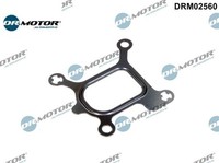 Dr.Motor Automotive DRM02560 Dichtung FüR KüHlmittelflansch