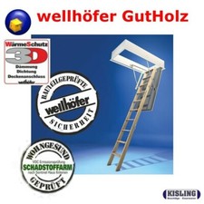 Bodentreppe Wellhöfer GutHolz Dachbodentreppen mit Wärmedämmung 3D