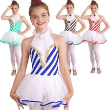 Kids Girls Christmas Dance Dress Ballet Tutu Leotard Figure Ice Skating Dress