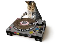 Suck Uk Cat Scratching Dj Deck Suck Uk Cat Scratching Dj Deck