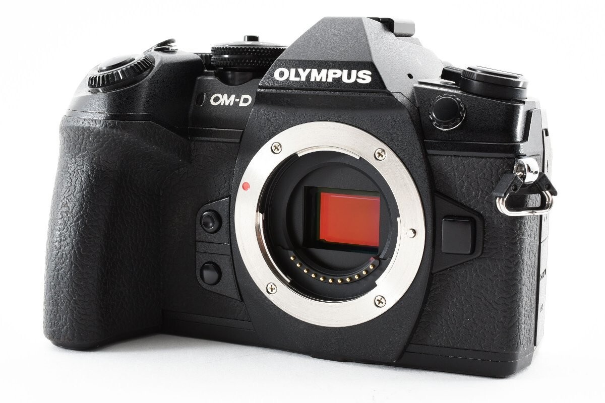 OLYMPUS OM-D E-M1 Mark II 本体 Buy Olympus OM-D E-M1 Mark II Body Only Silver low price