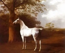 LMOP0110L 100% handmade painted White Horse Under Tree art oil painting canvas
