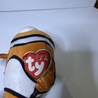 Foto 7 di 12