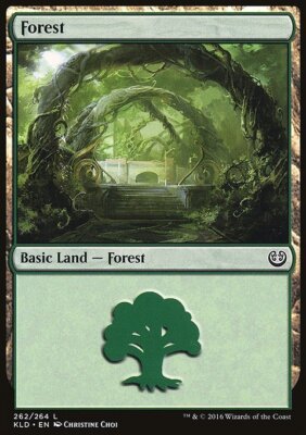 MTG Magic the Gathering Forest (262/291) Kaladesh LP
