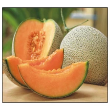 50+ Jumbo Hales Cantaloupe Melon  Seeds | Non-GMO Heirloom | Fresh Garden Seeds