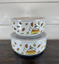 Peanuts New 2025 Snoopy Fall Bowl Set Of 2 With Pressure Relief Lids
