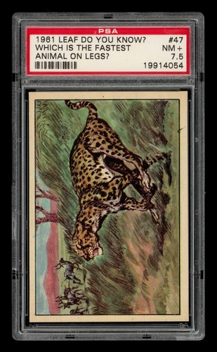 1961 Leaf Do You Know? Set-Break # 47 Which Is The Fastest PSA 7.5