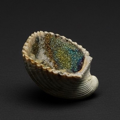Bivalve (Pelecypoda) Fossil Sea Shell with Chalcopyrite | Mineralized Fossil