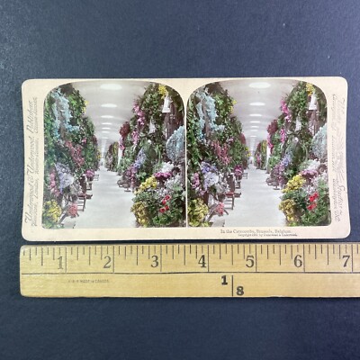 Plague Black Death Crypt Brussels Belgium Stereoview Antique c1901 Y7925