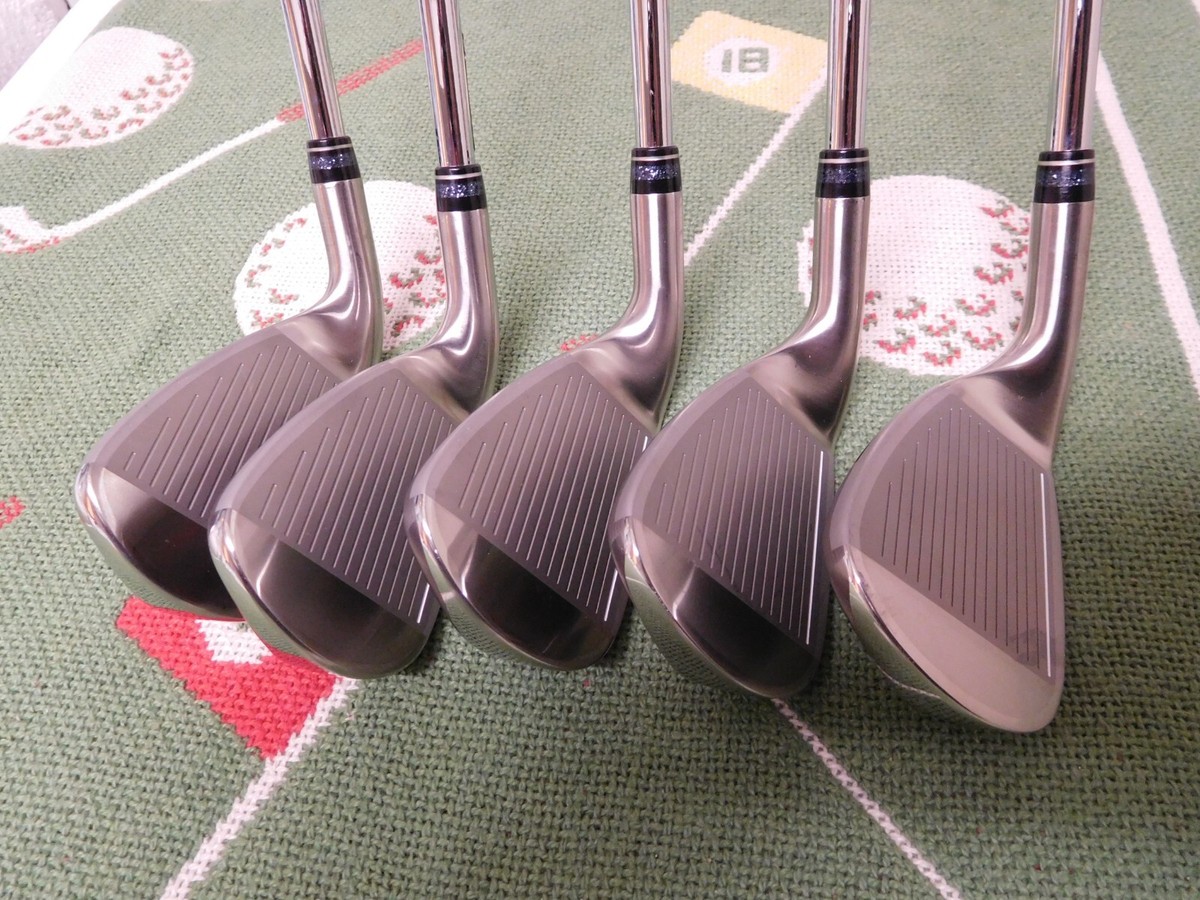 New (Other) Dunlop XXIO Eleven (11) Iron Set (6-PW) /RH/NS Pro 860