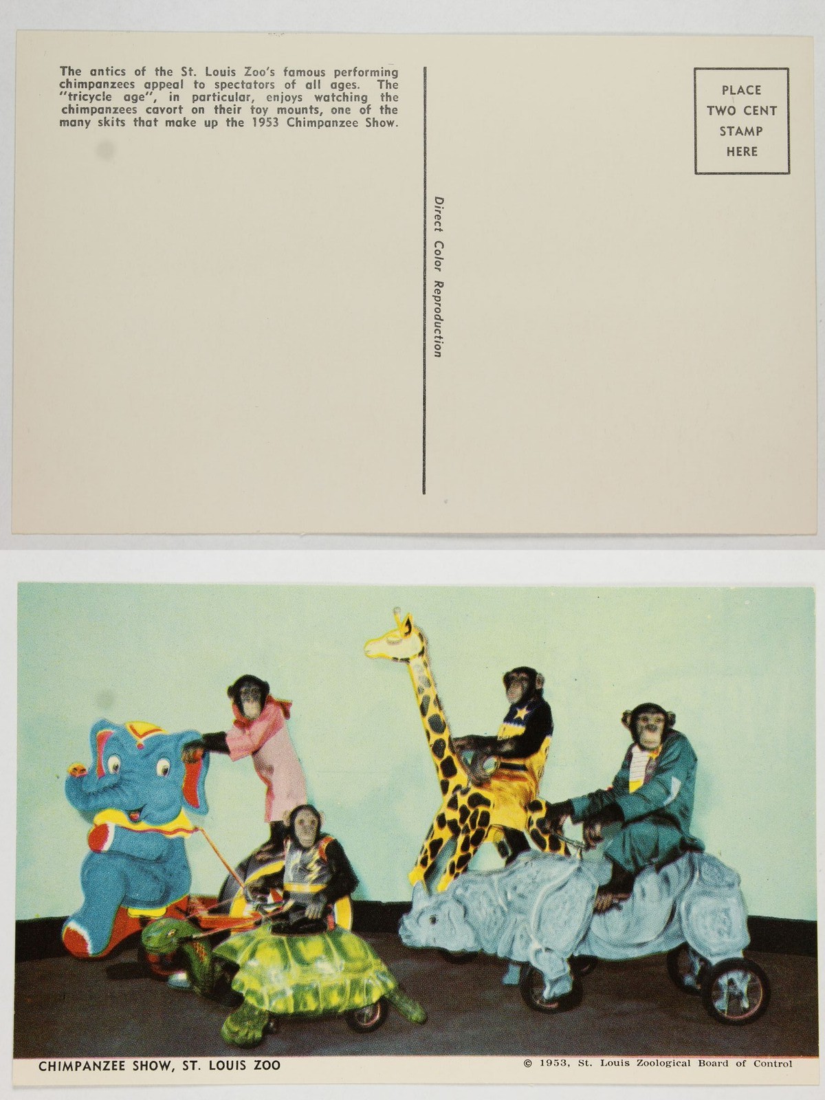 Elephant Ch Postcard