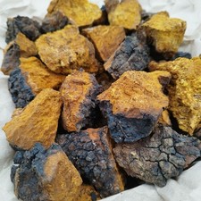 Natural Chaga Mushroom Pieces - Organic Herbal Tea Ingredient - 450g