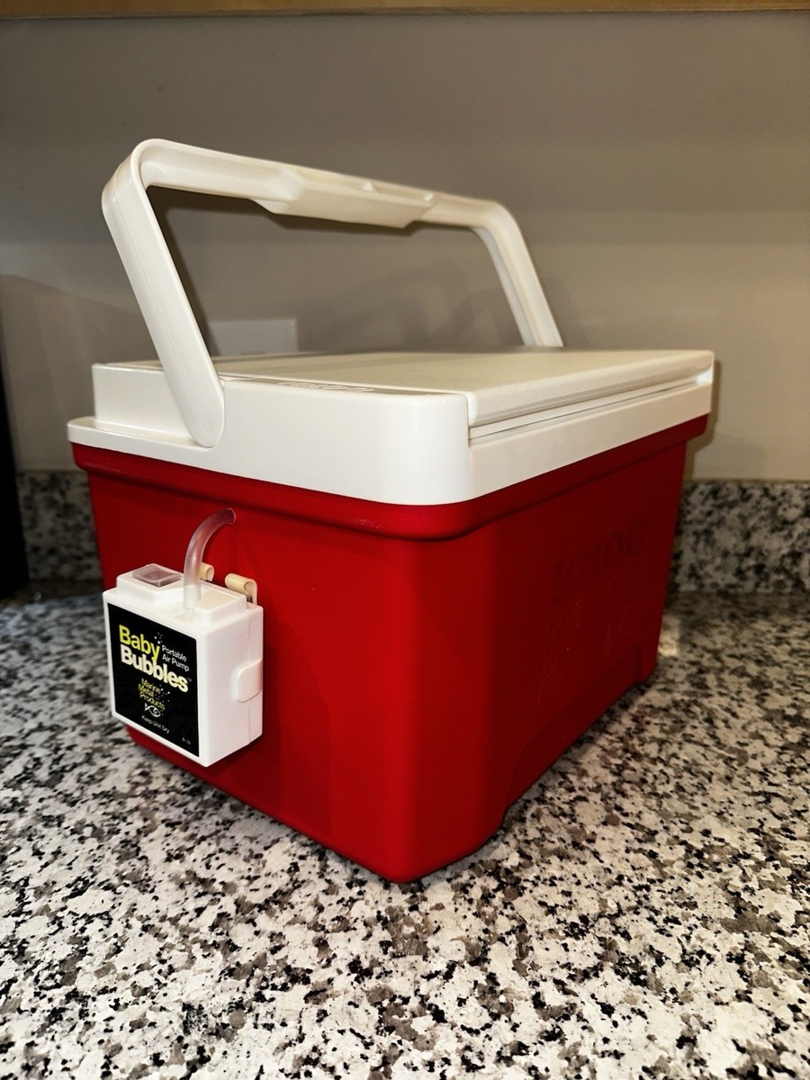 collapsable minnow bucket fish hauler REDCAMP 49