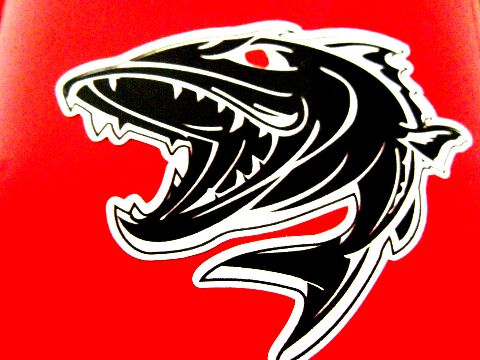 Fishing stickers waterproof vinyl piranah shakesphere tackle