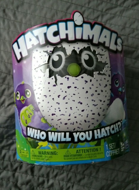 hatchimals draggles purple egg