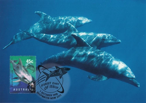 Dolphins Bottlenose Dolphin Sea Animals Australia Mint FDC Maxi Card 1998