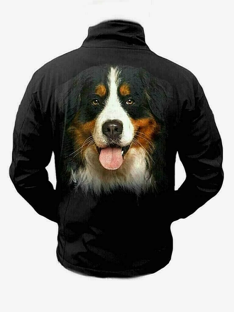 Bernese Mountain Dog Jackets