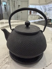 Tevana Imperial Cast Iron Tea Pot With Hot Plate And Strainer Japanese Style