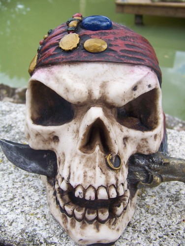 65741 FIGURINE CRANE PIRATE CARAIBES TETE DE MORT GOTHIQUE SKULL - Photo 4/4