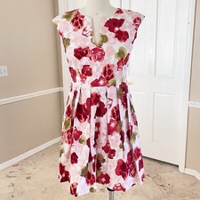 BB Dakota By Steve Madden Floral Pleated Dress