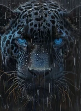 8 x 10 inch Collectible Art Print Highest Quality Photo Stock  42418610