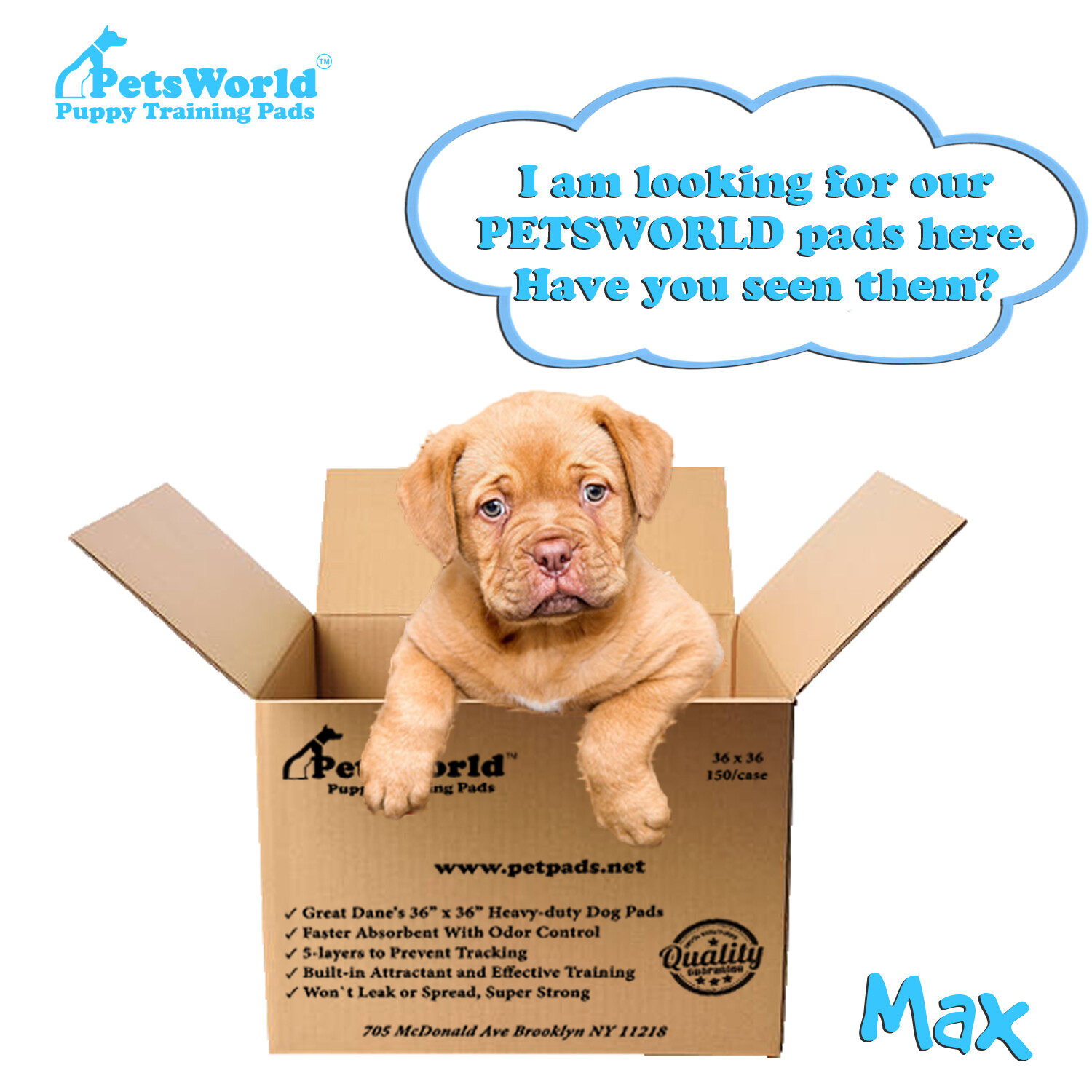 PETSWORLD Gigantic Dog Training & Potty Pads (36x36 inch), 150 Count eBay