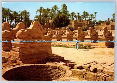 D312994 Karnak. Die berühmte Sphinxallee am Amon Tempel. Postkarte Ägypten