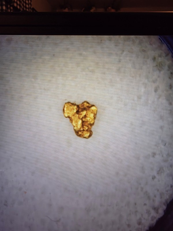 Pure Gold Nugget California Natural Small Gold Nugget .049 of a Gram, Beautiful!