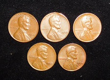 5 Lot 1964 1965 1966 1967 1968 D Denver Mint Lincoln Memorial Cent 95 Copper 1c