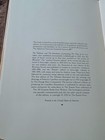 Foto 15 di 15