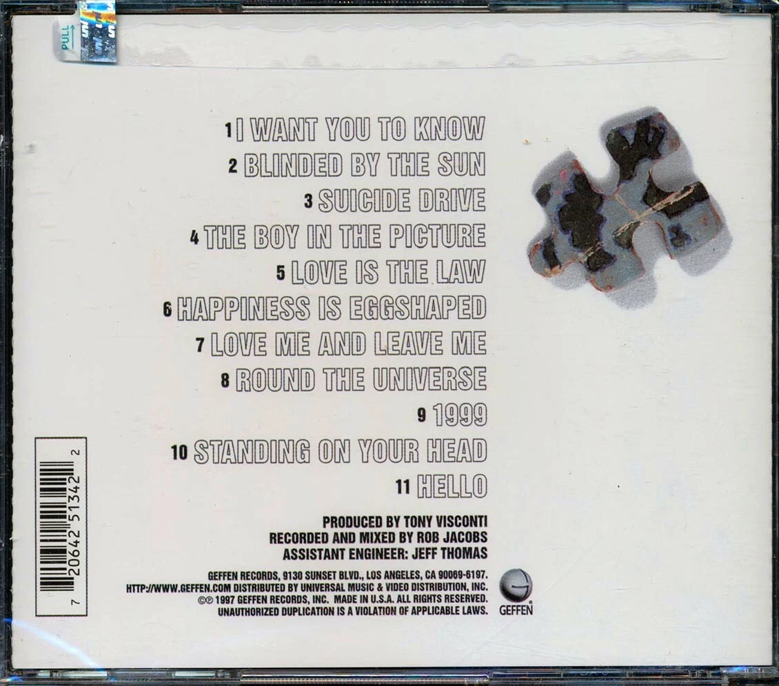 the seahorses / do it yourself レコード