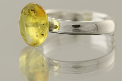 Fossil Insect Button Genuine BALTIC AMBER Adjustable Silver Ring