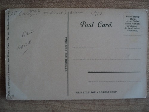 Postal de principios de 1900 NEW HAVEN CT Connecticut YALE University - Imagen 2 de 2