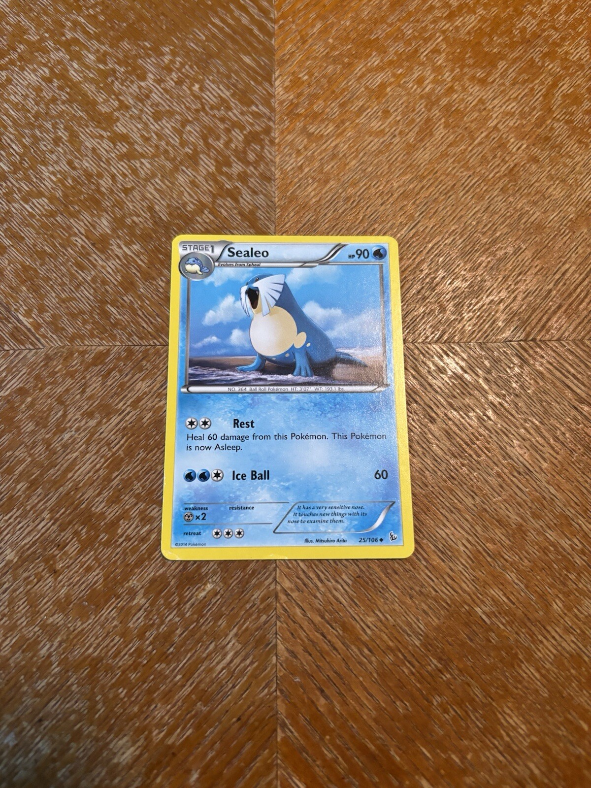 Sealeo 25/106 XY Flashfire LP