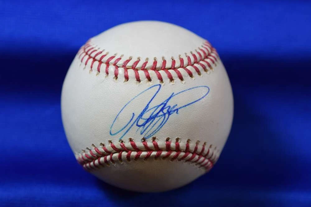 Mike Piazza Autograph In Mlb Autographed Baseballs for sale | eBay