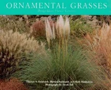 Ornamental Grasses: Design Ideas, Uses, & Varieties