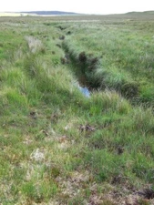 Photo 6x4 Dried up bog Heribost The thick moss in the foreground would no c2009