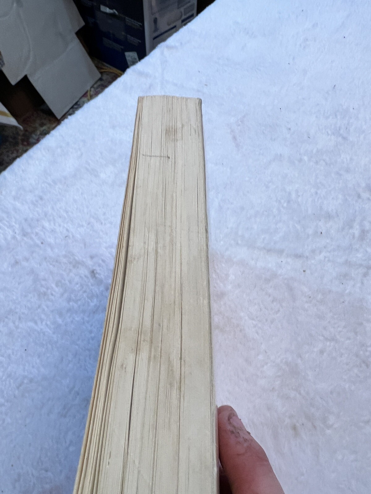 Bild 2 von 7