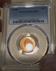 1906 Indian Head Cent 1¢ PCGS PR63RD ‼️BRIGHT RED PROOF - SEE VIDEO‼️
