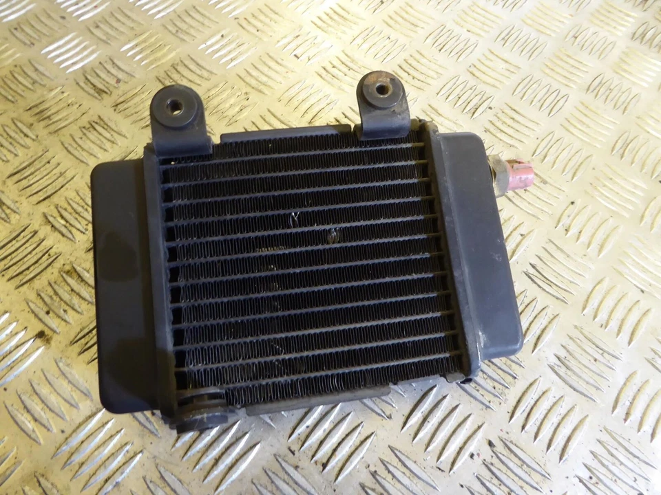 Radiador HMC LIGHTNING 125 ZS125GY 2016 Foto 2 de 4