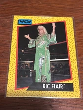 1991 Impel WCW NWA #45 Ric Flair Wrestling Card