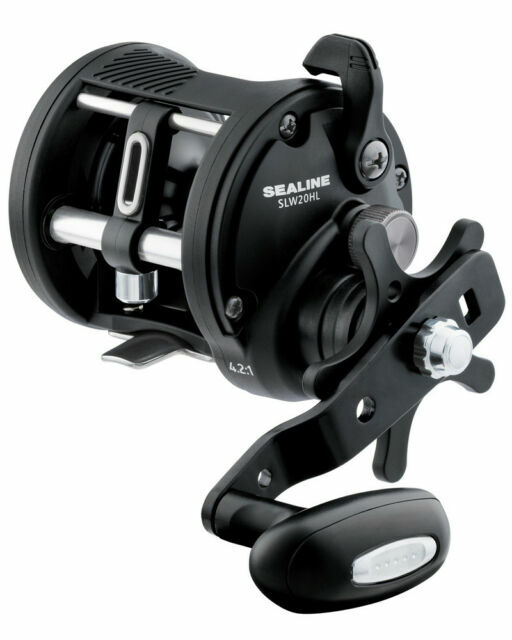 daiwa sealine 20
