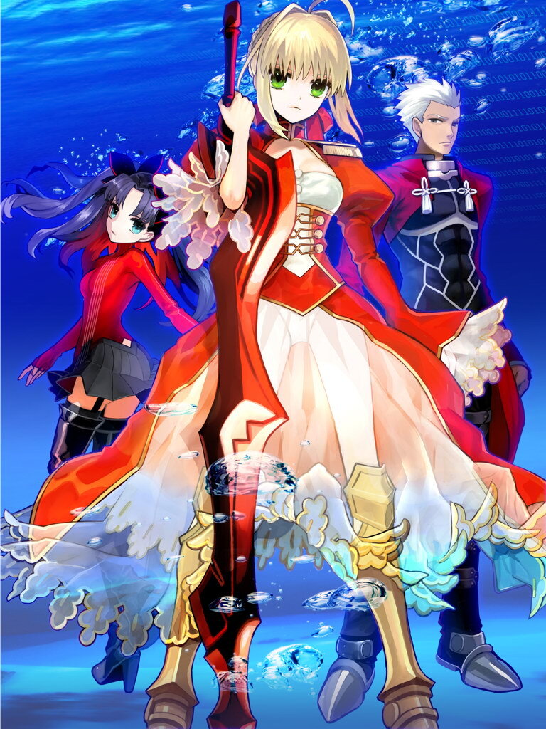 V7360 Fate Extra Last Encore Characters Anime Manga Art Decor WALL