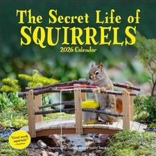 Workman Secret Life of Squirrels 2026 Wall Calendar w