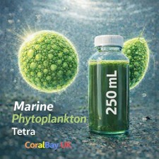 Marine phytoplankton tetra. Peak density, high biomass (250 ml)
